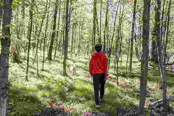 A Boy And His Dog Walking Through A Forest Gabe: A Story Of Me My Dog And The 1970s