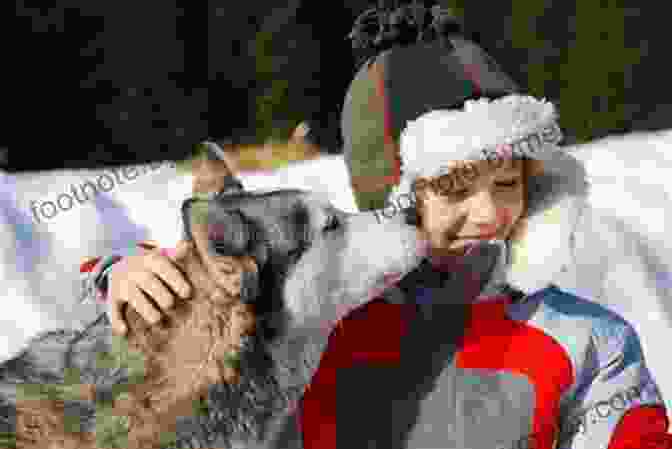 A Boy And His Husky Dog Stand Together In The Snow, Looking Into Each Other's Eyes. The Dog Is Wearing A Red Bandana Around Its Neck. Snow Dog Go Dog Deborah Heiligman