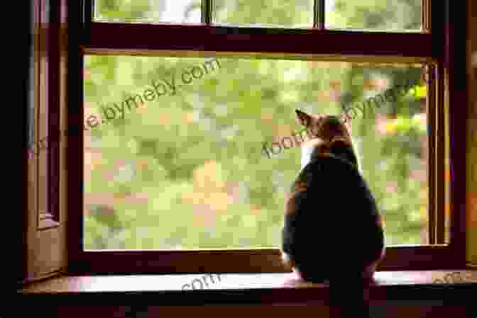 A Cat Sitting On A Windowsill, Looking Out At The City. Cat In A Different Place: A Pakhet Jones Story