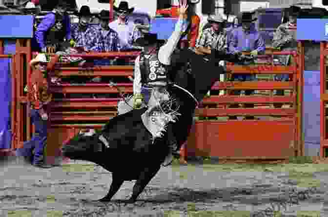 A Cowboy Riding A Bull At A Rodeo Rodeos Around The World: Facts And How To Rodeo: About Rodeos