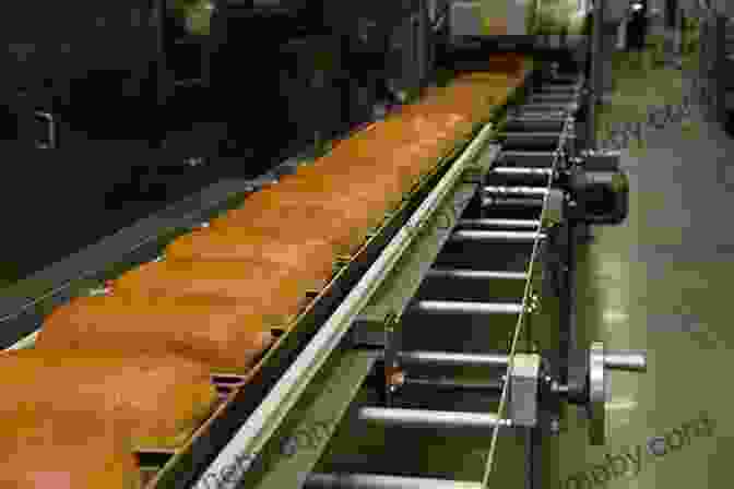 A Photograph Of A Modern Bread Factory, With Machines Producing Loaves Of Bread On A Large Scale National Trust Of Bread: Delicious Recipes For Breads Buns Breads And Other Baked Elegances