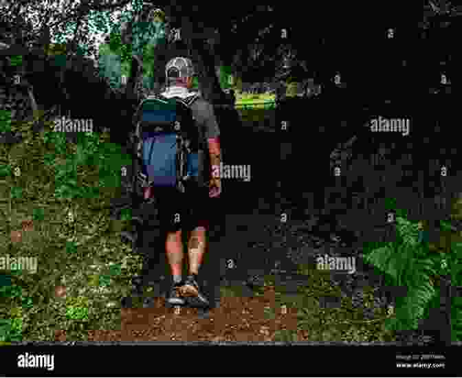 A Pilgrim Walking Through A Forest On The Camino Primitivo The Camino Del Norte And Camino Primitivo: To Santiago De Compostela And Finisterre From Irun Or Oviedo (Cicerone Guides)