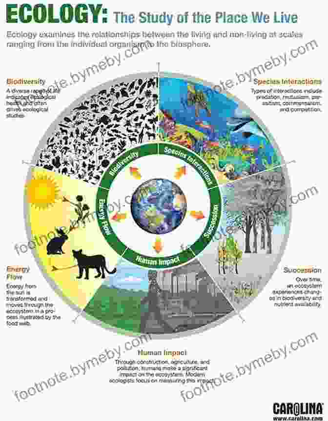 A Vibrant Illustration Depicting The Intricate Connections Between Species Within An Ecosystem. Earth In Human Hands: Shaping Our Planet S Future