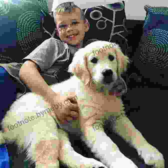 A Young Boy And His Golden Retriever Puppy Gabe: A Story Of Me My Dog And The 1970s