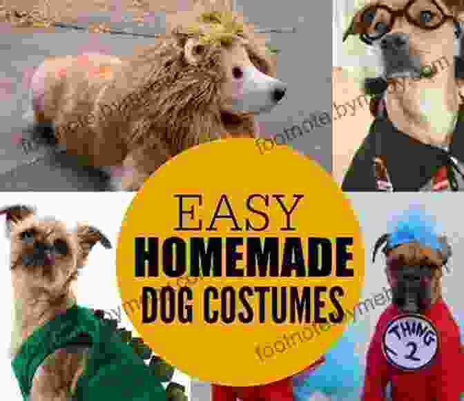 Adorable Pumpkin Costume Ultimate Halloween: Do It Yourself Unique Halloween Crafts Halloween Costumes Halloween Dog Costumes Halloween Makeup