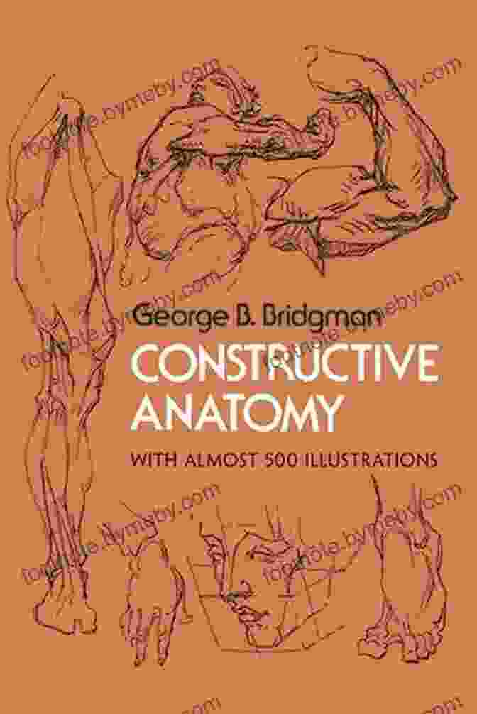 Constructive Anatomy Illustrated Book Cover Constructive Anatomy: Illustrated Dave Willmarth