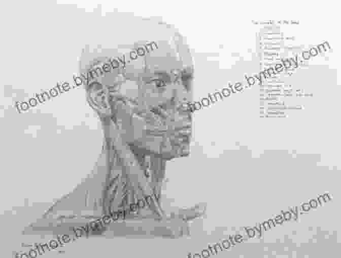 David Groves Drawing Anatomical Studies The Man With The Artistic Eyes (David Groves Lecture Notes 2)