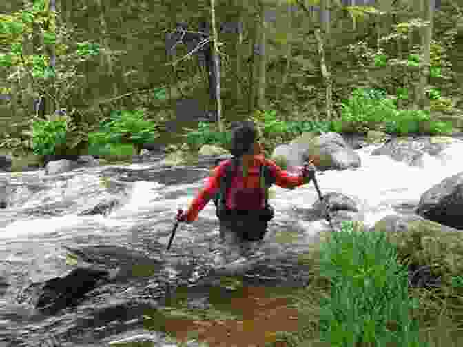 Emma Hiking On The Appalachian Trail With A Backpack And Trekking Poles, Surrounded By Towering Trees And A Rocky Path AWOL On The Appalachian Trail