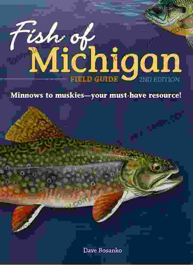 Fish Of Michigan Field Guide Fish Of Michigan Field Guide (Fish Identification Guides)