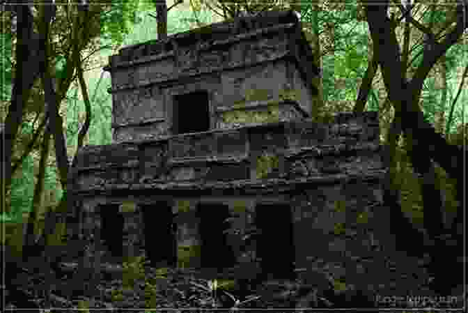 Intriguing Ruins Of An Ancient Mayan Temple Hidden Deep Within The Jungle Adventures In The Americas : The Real Adventures Of An Unlikely Spiritual Journey With Ayahuasca And San Pedro