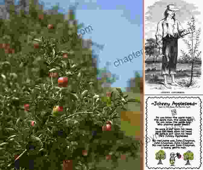 Johnny Appleseed Planting Apple Trees Johnny Appleseed: My Story (Step Into Reading)