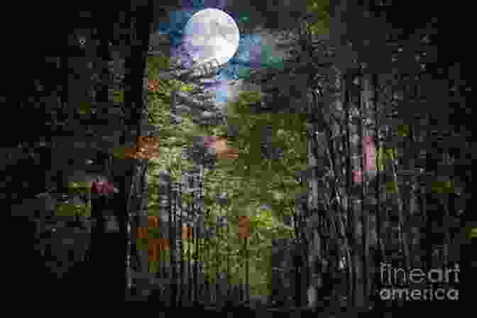 Mesmerizing Cover Of Moon Spell, Showcasing A Moonlit Forest And A Mysterious Figure. Moon Spell David Wisehart