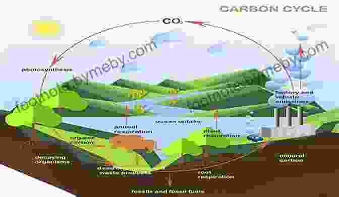 The Carbon Cycle, Illustrating The Exchange Of Carbon Between The Atmosphere, Biosphere, And Geosphere Symphony In C: Carbon And The Evolution Of (Almost) Everything