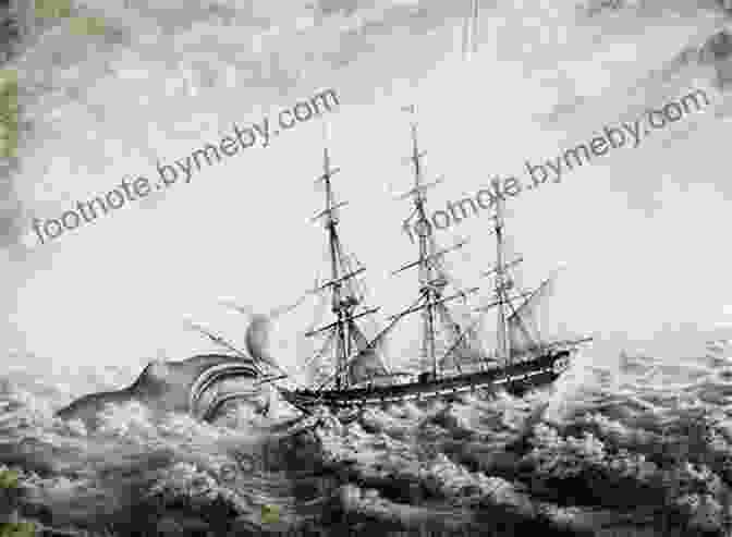 The Whaleship Essex Disaster Whaleship Essex: Disaster At Sea (True Survival)