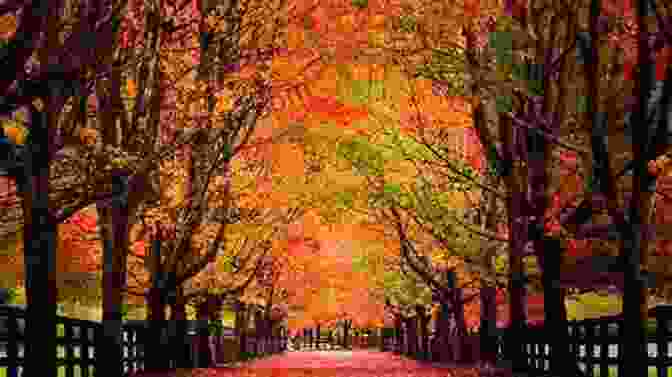 Vibrant Autumn Foliage The Weather Of The Pacific Northwest