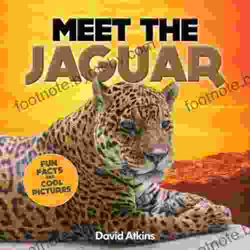 Meet The Jaguar: Fun Facts Cool Pictures (Meet The Cats)