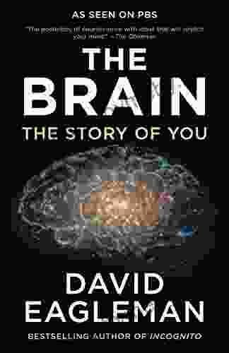 The Brain: The Story Of You