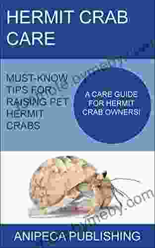 Hermit Crab Care: Must Know Tips For Raising Hermit Crabs