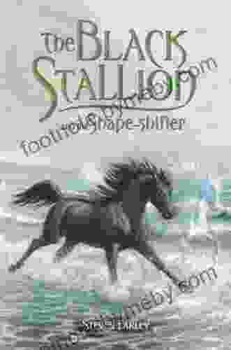 The Black Stallion And The Shape Shifter