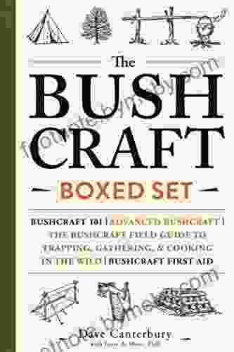 The Bushcraft Boxed Set: Bushcraft 101 Advanced Bushcraft The Bushcraft Field Guide To Trapping Gathering Cooking In The Wild Bushcraft First Aid