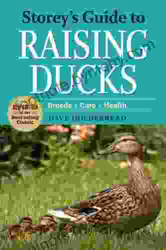 Storey S Guide To Raising Ducks 2nd Edition: Breeds Care Health (Storey S Guide To Raising)