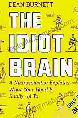 Idiot Brain: What Your Head Is Really Up To